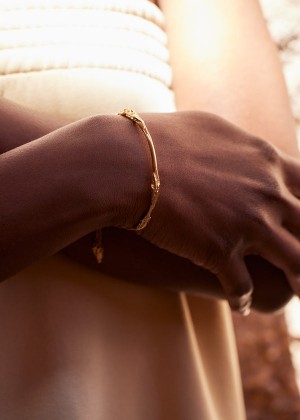 Polène Eroz Bangle Zlaté | SN-PLN364986