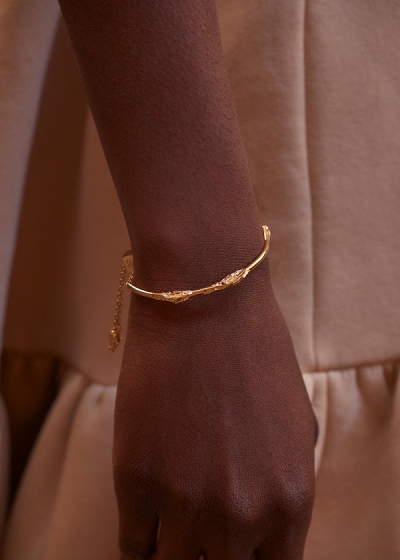 Polène Eroz Bangle Zlaté | SN-PLN364986